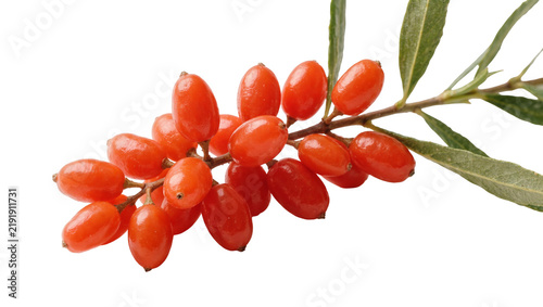 Obraz na płótnie Branch with ripe orange goji berries and green leaves, isolated on transparent b