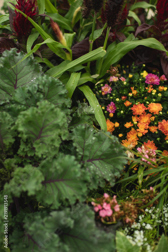 Konstfotografi A vibrant garden bed features textured green foliage surrounded by orange, pink, and yellow flowers and taller tropical-style plants