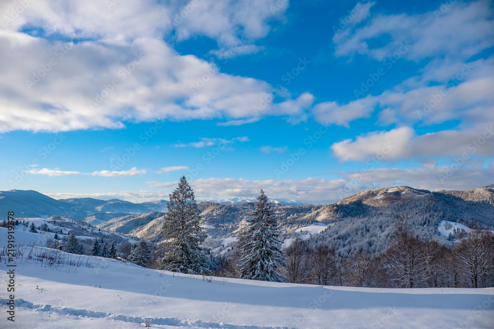 Obraz premium Carpathians, Ukraine. Panoramic view of snow-covered slope with one remote cabin near ridge, scattered frosted vegetation, and layered clouds with morning light illuminate distant forest hills