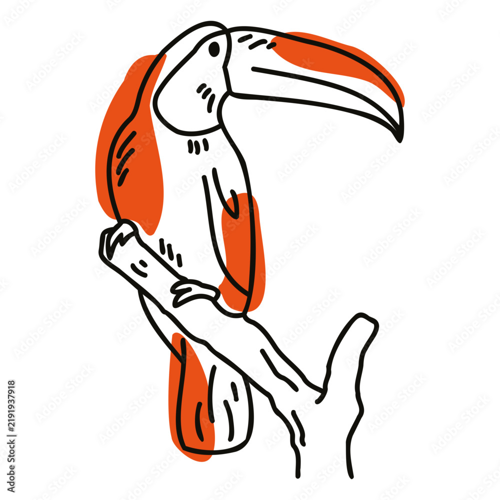 Fototapeta premium Color stroke semi colored toucan