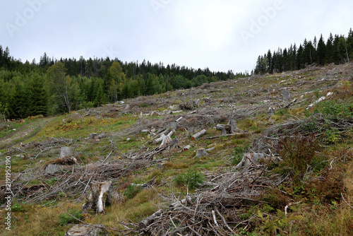 Naklejka Logging field