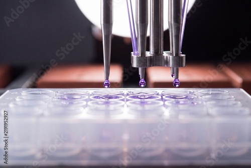 Automated robotic multichannel pipette dispensing purple liquid droplets into microplate wells in a laboratory
