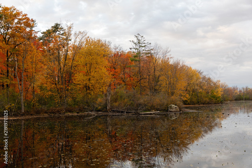 Forest shoreline reflected in calm wetland water in autumn. Fall foliage along Mud Lake in Ottawa, Canada