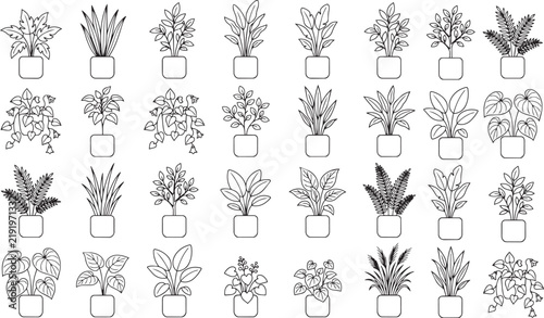 Monochrome Indoor Plant Collection with Decorative Tropical Leaves EPS Illustration