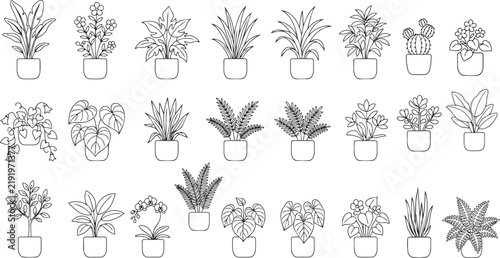Black and White Tropical Houseplants Set with Potted Botanical Foliage Vector Design