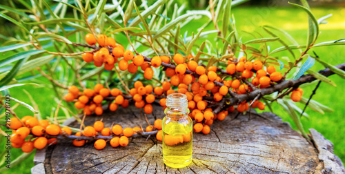 Foto Sea buckthorn oil in glass dropper bottle with fresh ripe berries