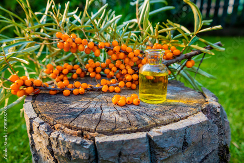 Sea buckthorn oil in glass dropper bottle with fresh ripe berries