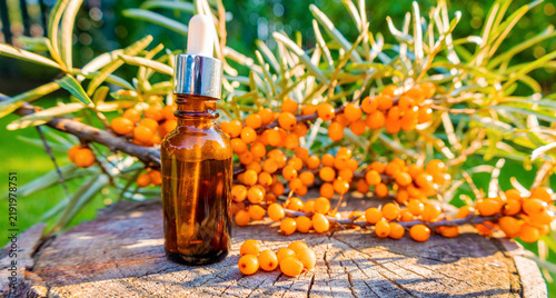 Quadro su tela Sea buckthorn oil in glass dropper bottle with fresh ripe berries