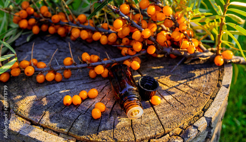 Konstfotografi Sea buckthorn oil in glass dropper bottle with fresh ripe berries