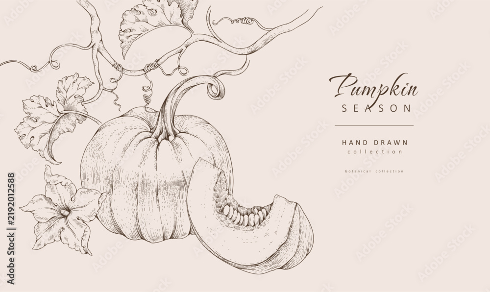 Obraz premium Background with pumpkin with flowers and leaves. Line art hand drawn illustration of botanical elements of farm and autumn. Fall and cozy seasonal designs
