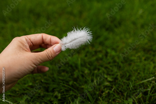 Fotografie A close-up shot of a single, delicate soft white feather, held by a fingertip against a blurred green background of grass