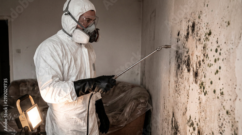 Professional Mold Remediation Specialist in Protective Suit Spraying Antifungal Treatment on Mold-Covered Wall