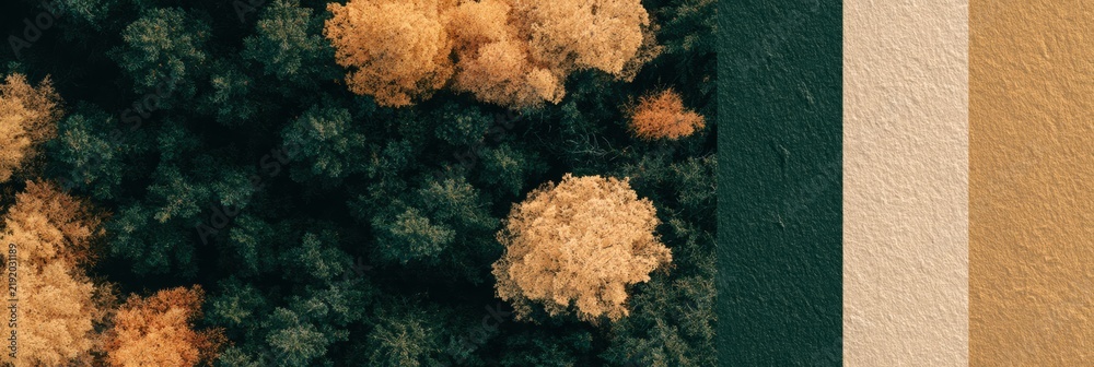 Obraz premium Aerial perspective shows deep autumn forest combining dark green and warm cream. Conifer trees display rich colors in a fall landscape.
