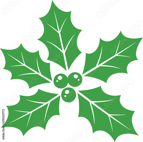Classic green holly sprig with bright red berries a traditional symbol for winter holidays