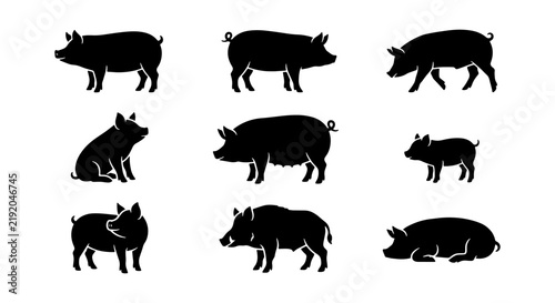 Pig Silhouettes Set, Farm Animal Icons, Livestock Vector Graphics, Cute Swine Illustrations