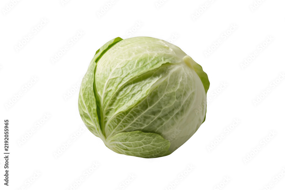 Fototapeta premium Whole Fresh Green Cabbage Head