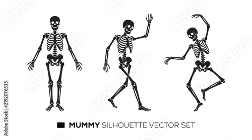 Skeleton silhouette vector set with dancing and walking poses for spooky designs.