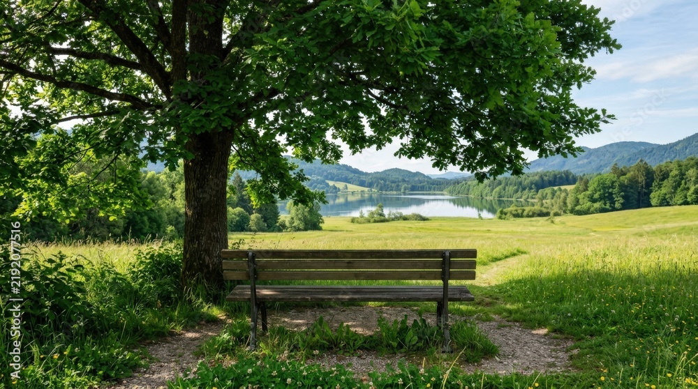 Fototapeta premium Empty wooden park bench beneath a broad leafy tree overlooking a quiet green meadow and distant lake, centered tranquil composition, deep emerald shade contrasted with sunlit grass, soft summer
