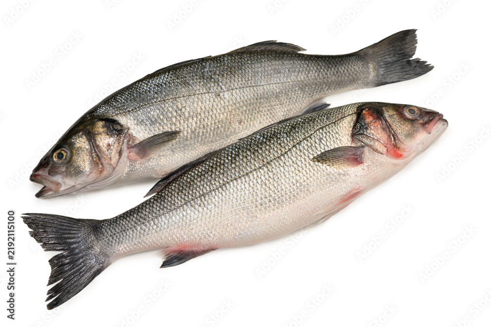 Fototapeta premium Commercial stock photo of two fresh raw sea bass fish isolated on white