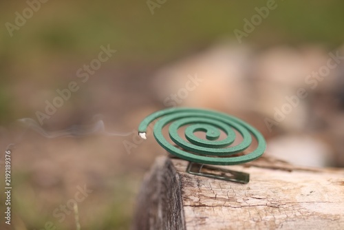 Foto Smouldering insect repellent coil on tree trunk outdoors, closeup