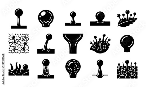 Bild auf Leinwand Biological trichome icon set, microscopic plant hair and glandular structures, 1