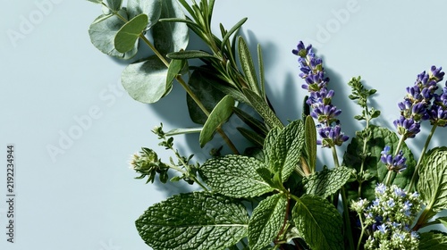 lavender mint and eucalyptus editorial fragrance composition