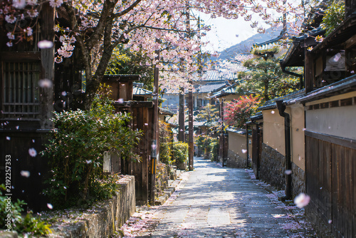 Traditional Japanese Alleyway with Cherry Blossoms in Full Bloom