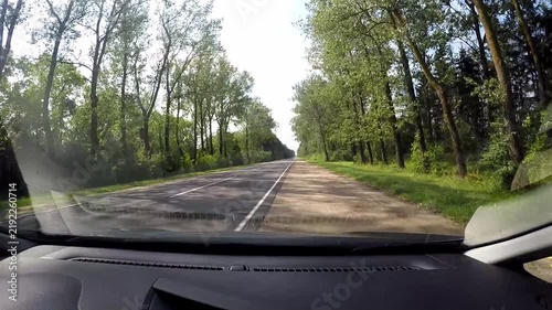 POV Driving Through Green Forest on Rural Road in Belarus