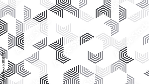 Fotografía Abstract Black and White Hexagonal Geometric Line Pattern Background