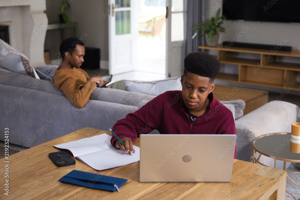 Obraz premium African American father and teenage son sitting in living room, son studying on silver laptop