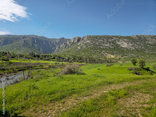 Принти на полотні Jagged rocky peaks dominate a sweeping green valley, with a peaceful stream winding through scattered trees beneath an expansive clear blue sky