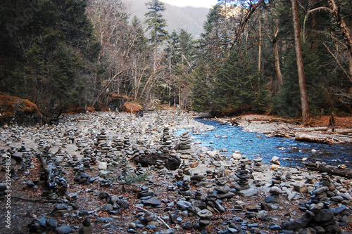 Obraz na płótnie A peaceful forest stream with rocky riverbed