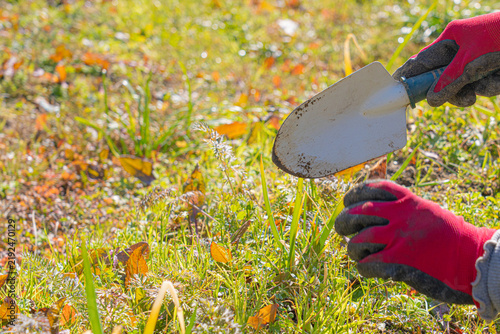 Gloved hands holding a garden trowel during outdoor gardening work