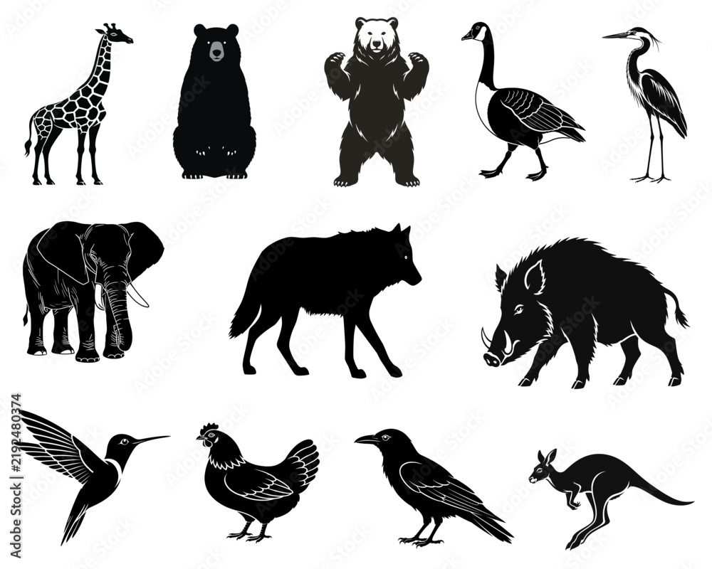 Fototapeta premium Collection of animal silhouettes in a black and white graphic style