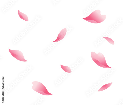 Pink Falling Cherry Blossom Petals Decorative Illustration