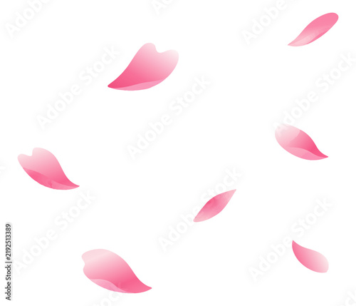 Pink Falling Cherry Blossom Petals Decorative Illustration