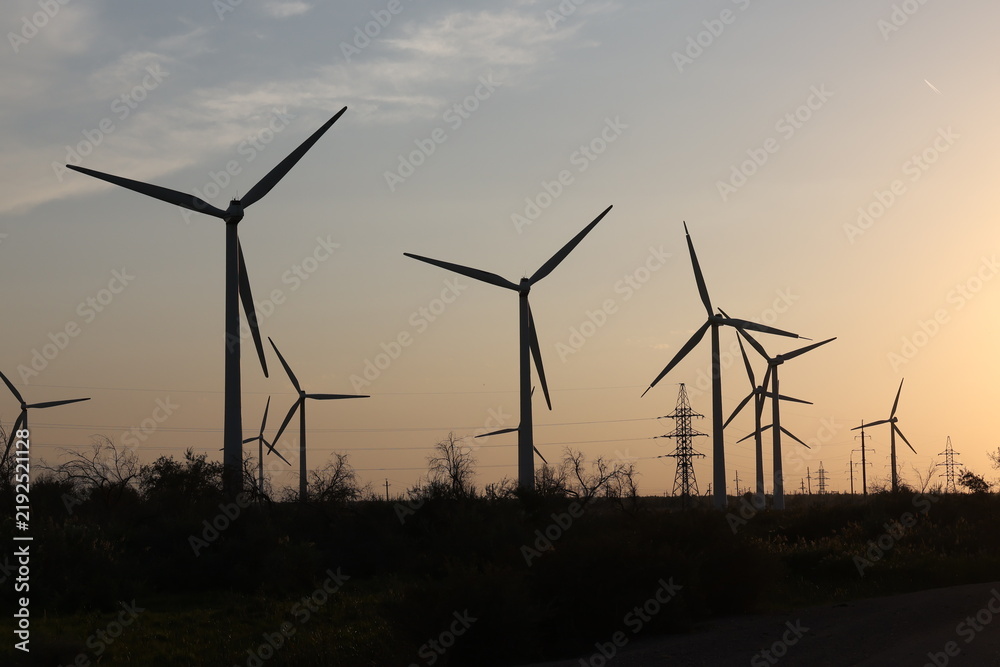 Fototapeta premium View of a wind farm along a highway in Kazakhstan.