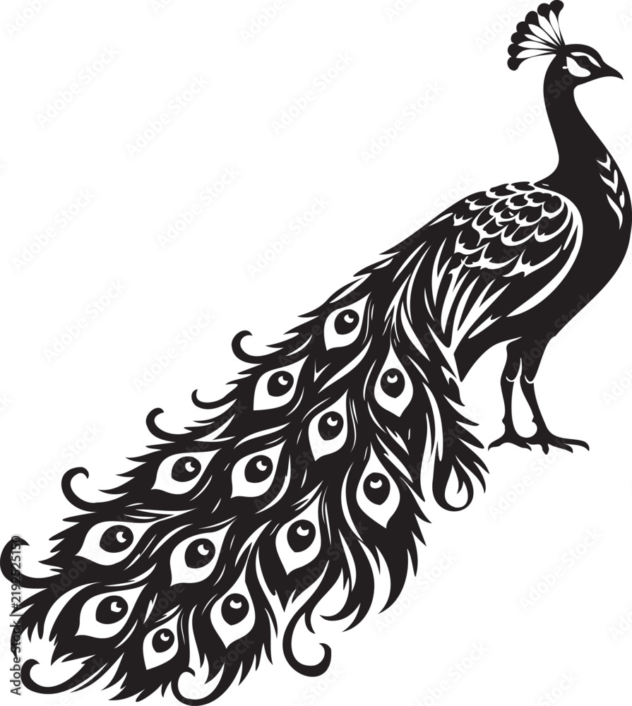 Fototapeta premium Peacock bird vector silhouette, feathers isolated white background