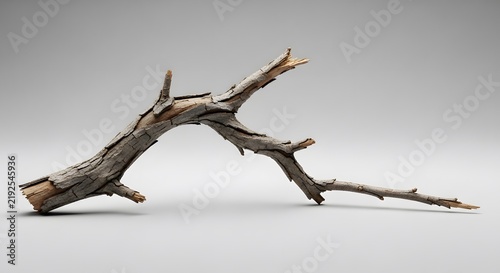 A single broken brown tree branch with textured bark lying on a smooth surface