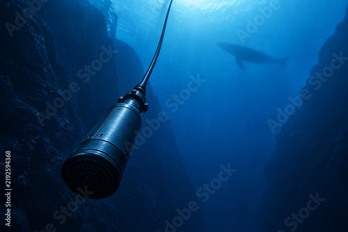 Underwater hydrophone in deep blue canyon with whale silhouette, ocean research concept