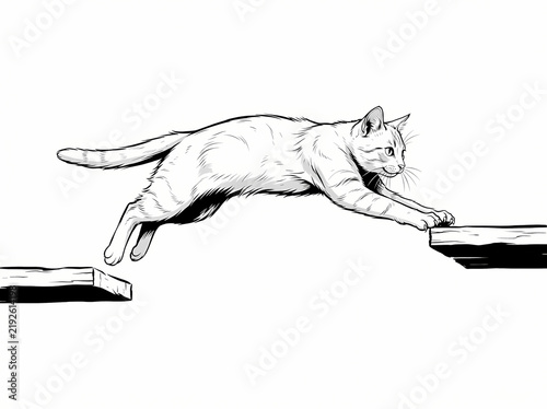 A detailed black and white line drawing of a cat leaping between two platforms.