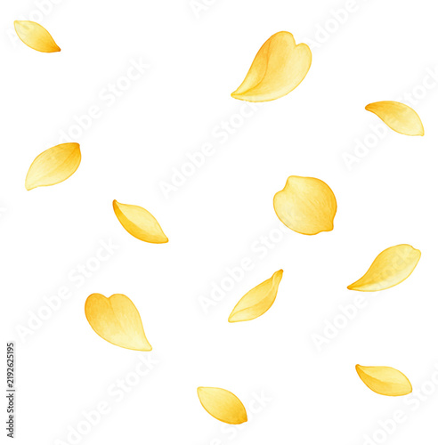 Yellow Falling Petals Decorative Floral Illustration