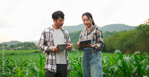 Young farmers using tablets to inspect corn crops in a green field, showcasing smart farming, agricultural technology, digital crop monitoring, sustainable agriculture, and rural innovation.