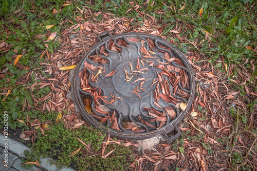 Cuadro en lienzo The manhole of a sewer well strewn with dry leaves on an autumn day