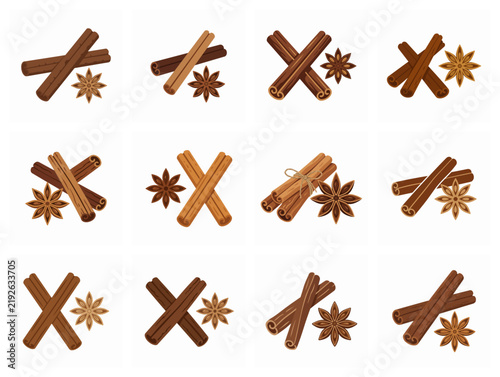 Flat Cinnamon Sticks and Star Anise Spice Vector Collection