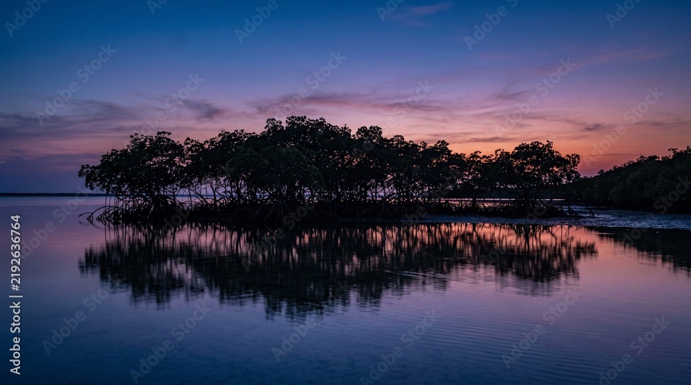 Obraz premium Mangrove forest silhouette reflecting on calm coastal water during purple sunset twilight in a serene landscape for environmental conservation media