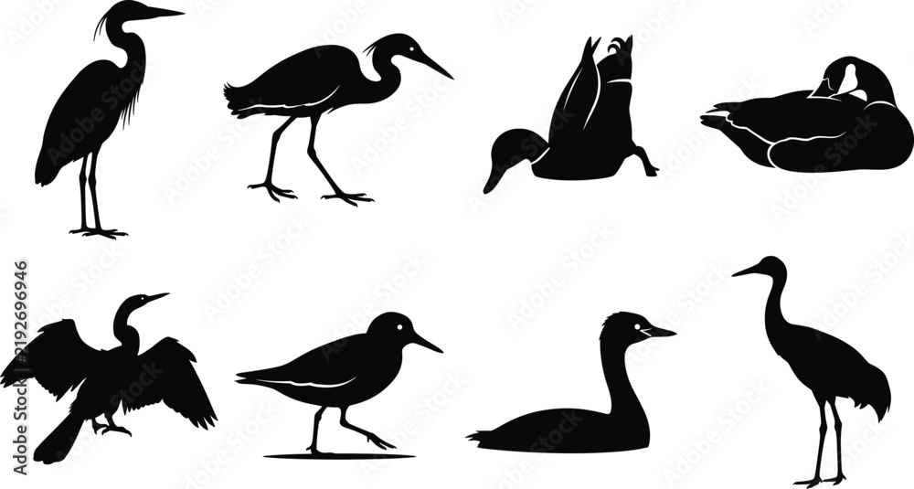 Obraz premium Collection of flat color non realistic water bird silhouettes including heron and duck for commercial wildlife design