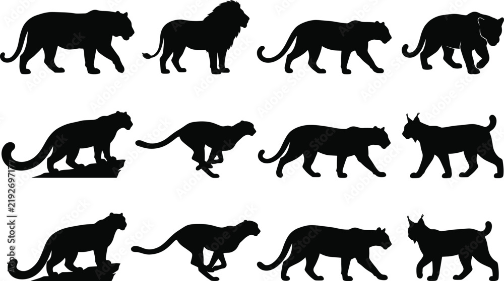 Obraz premium Collection of wild big cat animal silhouettes including lion tiger cheetah leopard and lynx for wildlife design projects