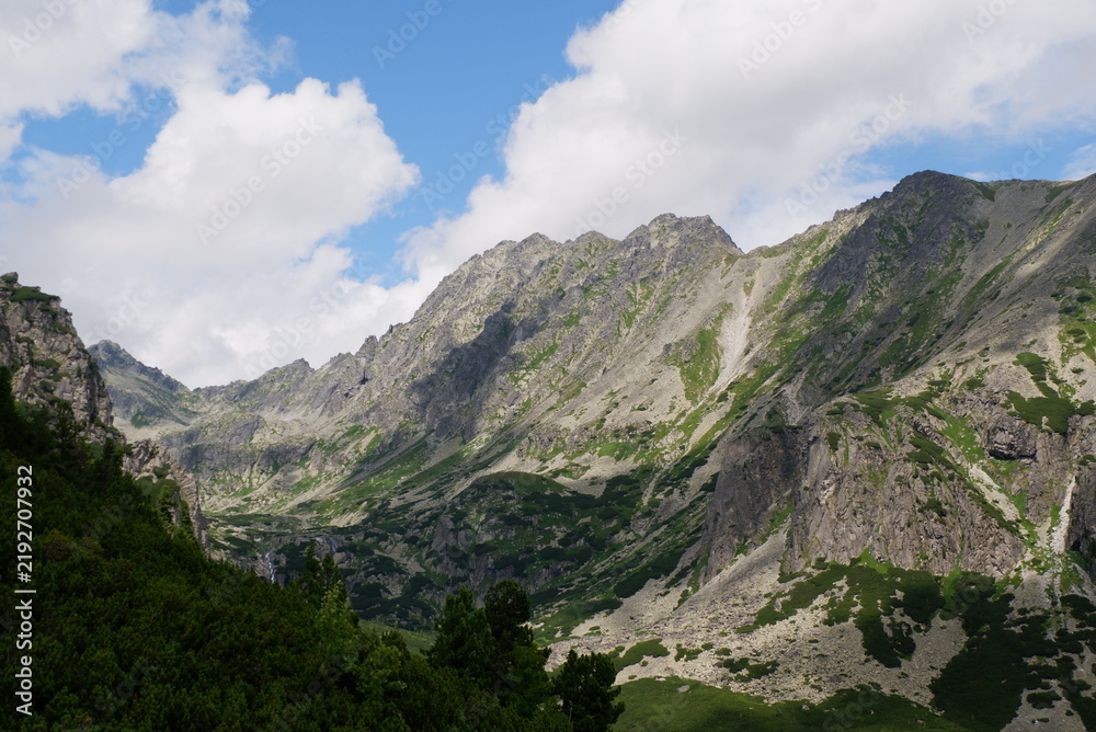 Fototapeta premium Scenic View of Green Alpine Slopes and Rocky Mountain Ridges in High Tatras Slovakia