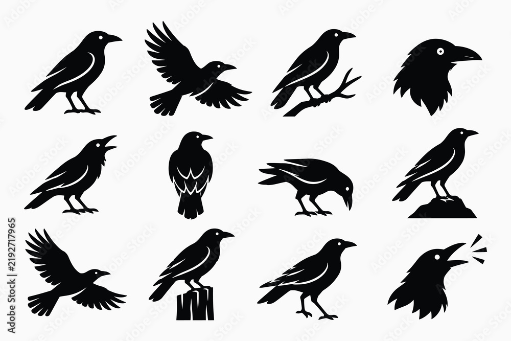 Obraz premium Collection of black bird silhouettes in various poses and actions.